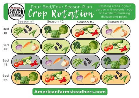 Image result for Crop Rotation