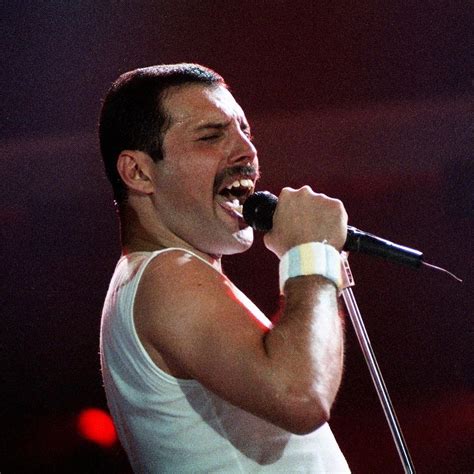 Pin by Angie Friedman on Queen/Freddie Mercury ️ | Queen freddie ...