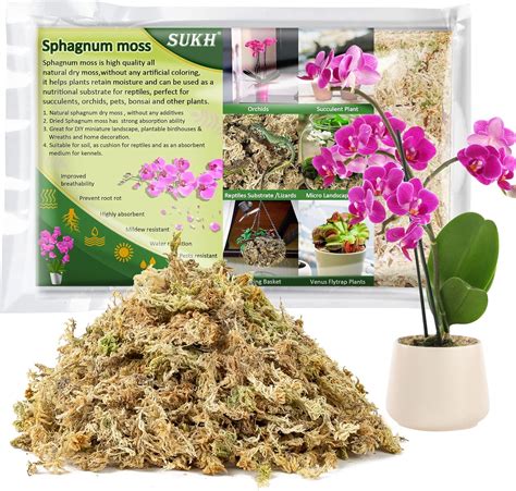 Sukh 5oz Sphagnum Moss for Plants - Sphagnum Peat | Ubuy Sri Lanka
