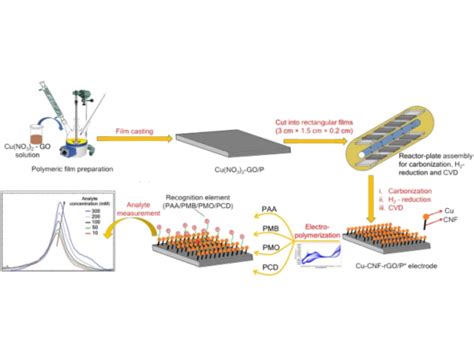 Welcome to PGRL - Post Graduate Research Laboratory, IIT Kanpur