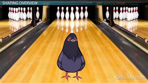 Image result for Shaping Example