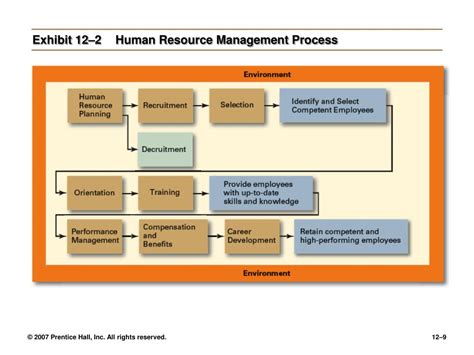 Human Resource Management Process 的图像结果
