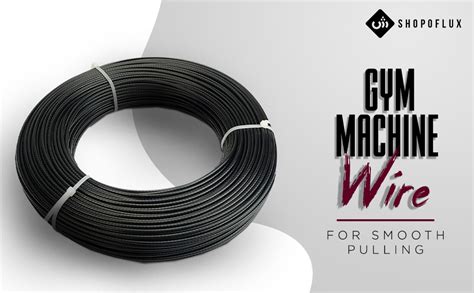 Shopoflux® Gym Machine Wire Rope PU Coated Cable Inside Steel (Black,5 ...