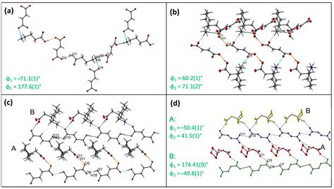 Polymorphism and Multi-Component Crystal Formation of GABA and Gabapentin