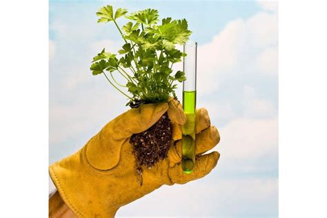 Types of Diffusion 的图像结果