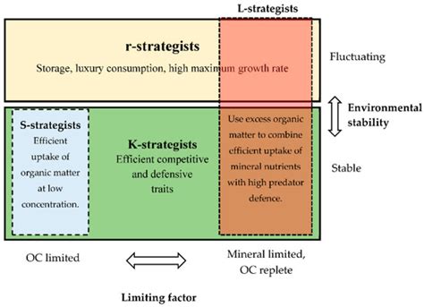 Mechanisms Generating Dichotomies in the Life Strategies of ...