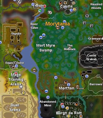 OSRS Swamp Tar Guide - VirtGold