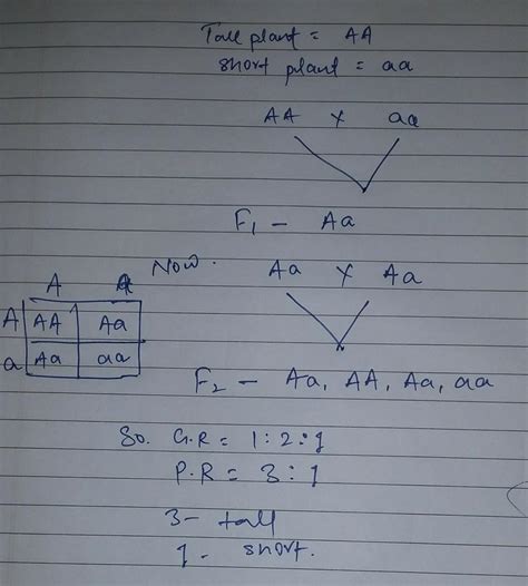 A tall plant is crossed with short plant . Find genotypic and ...
