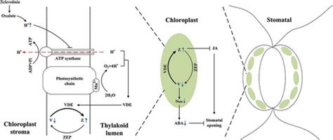 Image result for Audio Playback Module Components without Arduino