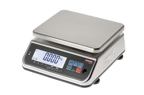 Stainless Steel Scale