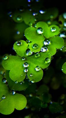 Hd Wall Wallpaper For Mobile by Free Phone Wallpapers For Mobile Cell Phone Backgrounds Hd Wall Wallpaper For Mobile