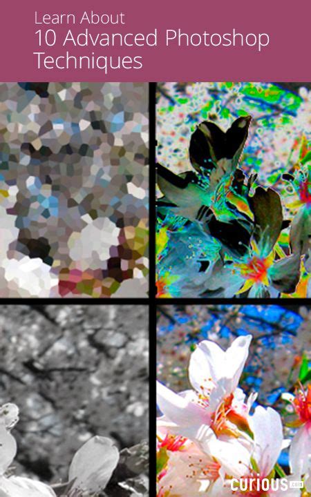 Image result for Download Advanced Photoshop Tutorial