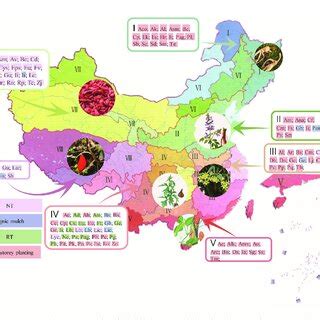 Local Plant Source 的图像结果