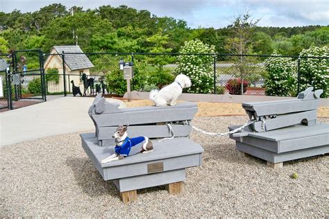 The 10 Best Dog Parks in the United States