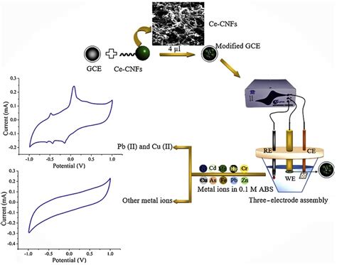 Electrochemical Detection of Heavy Metal Ions Based on Nanocomposite ...