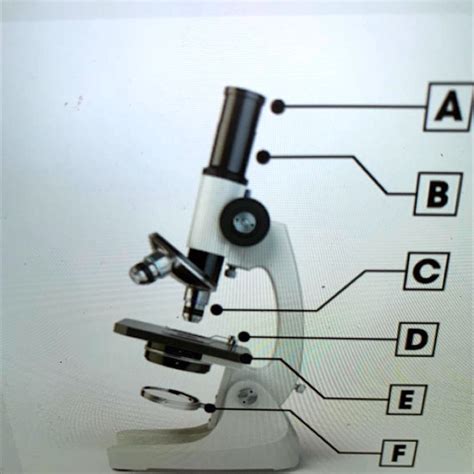Image result for Compound Microscope Light Source