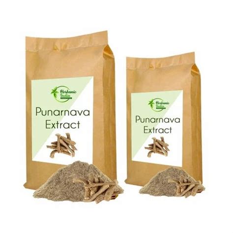 Herbal Extracts - Solanum Nigrum Extract Powder Manufacturer from Kanpur