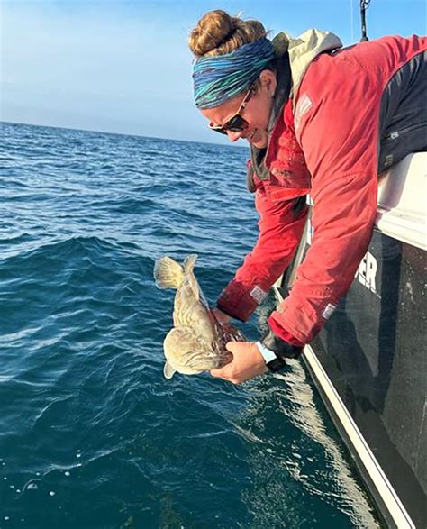 Inside Job October 7