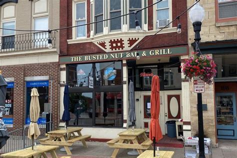 Image result for Walnut Tree