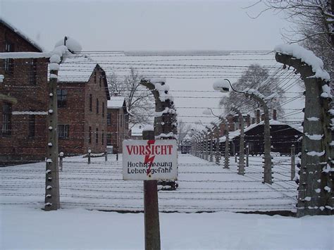 PRIVATE AUSCHWITZ TOUR GUIDE & TRANSPORTATION FROM KATOWICE BY PIOTR ...