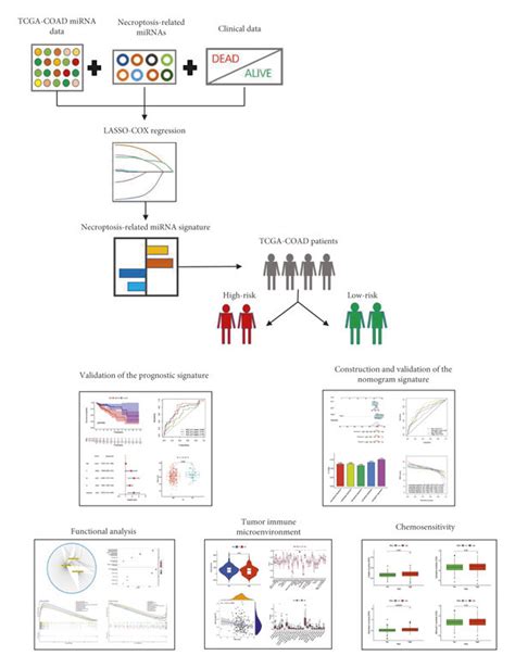 Image result for Graphical Abstract Bioscience