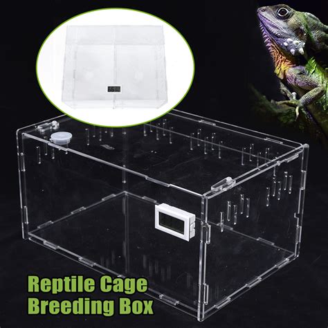 Buy Clear Reptile Tank Insect Spiders Lizard Breeding Box Pet Terrarium ...