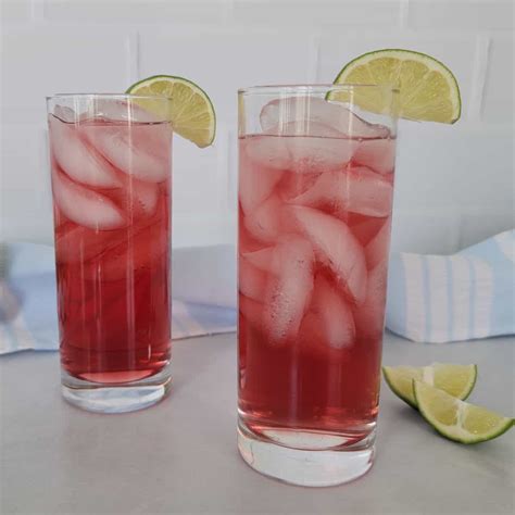 55+ Easy Fruity Alcoholic Drinks - Tammilee Tips