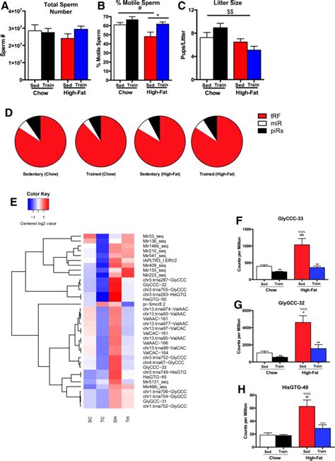 Paternal Exercise 的图像结果