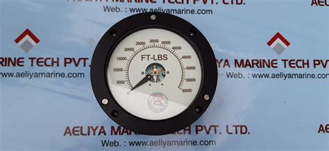 Louisiana electric rig tds 3 scale meter – Aeliya Marine Tech