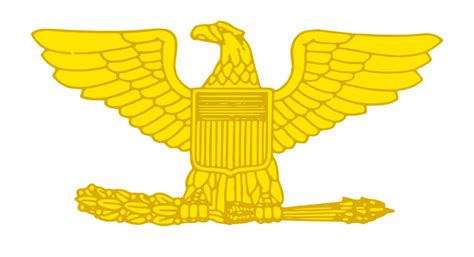 Image result for Colonel Rank AFP