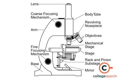 Image result for Simple Microscope Physics