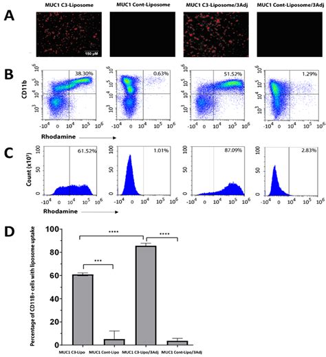 Enhancing T Cell and Antibody Response in Mucin-1 Transgenic Mice ...