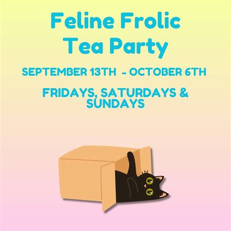 Feline Frolic Tea Party, 115 Harvard Dr SE, Albuquerque, NM, United ...