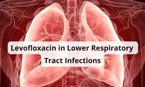 Understanding the Scope of Levofloxacin in Lower Respiratory Tract ...