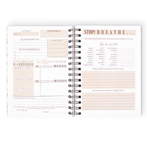 Sage Tutorial Journal 的图像结果