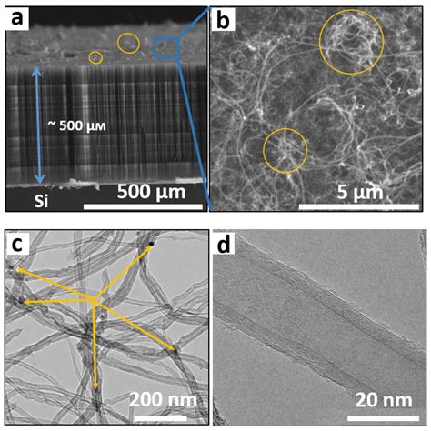 Distribution of Iron Nanoparticles in Arrays of Vertically Aligned ...