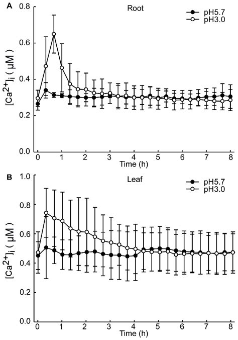 Acidic Stress Induces Cytosolic Free Calcium Oscillation, and an ...