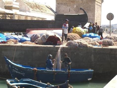 Stadtführung, Ausflüge & Unternehmungen ab Essaouira | ECO-Öko-Tourismus