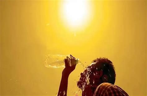 महानगरों में बढ़ता तापमान एकमात्र संकट नहीं - rising temperature in ...