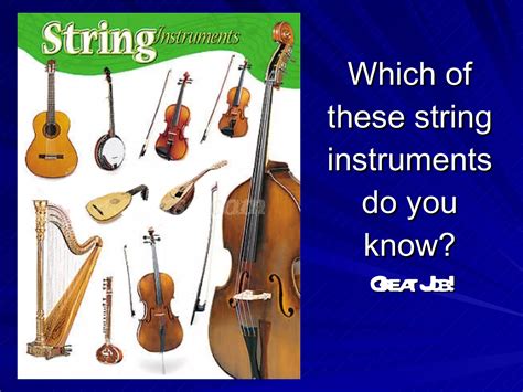 Image result for Stringed Instruments