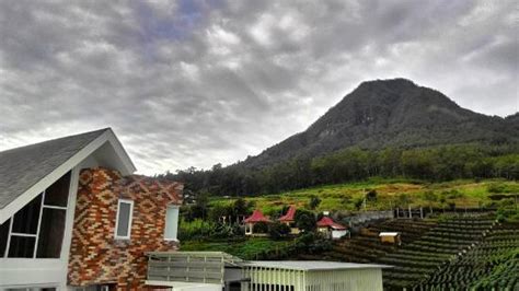 AMARTAHILLS HOTEL AND RESORT (Batu) - Hotel Reviews, Photos, Rate ...