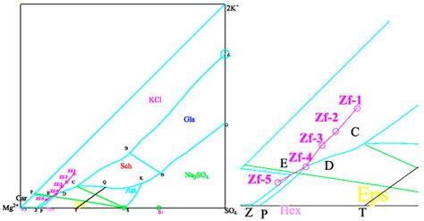 Surface Properties of NaCl and KCl in a Potassium−Sodium-Saturated ...