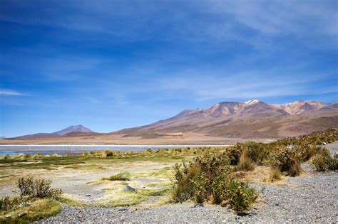 Laguna colorada in bolivia | Premium Photo