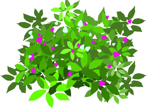 bush clip art 13091730 PNG
