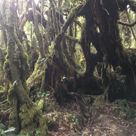 GUNUNG SUKU (2024) All You Need to Know BEFORE You Go (with Photos ...