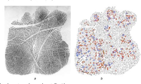 Palm Print Identification System 的图像结果