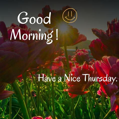 253+ Good Morning Thursday Images HD for Whatsapp