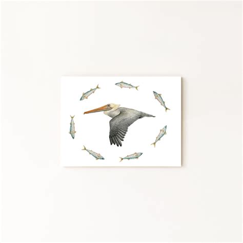 Brown Pelican Atlantic Spanish Mackeral Print. Hand Drawn Watercolor ...