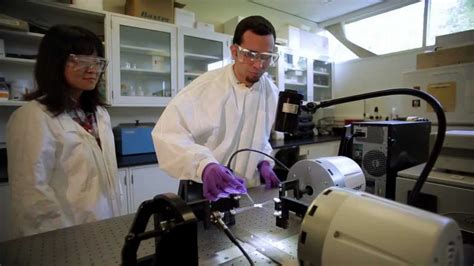 Image result for Neuroscience Degree Programs