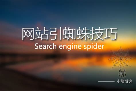 搜索引擎蜘蛛是靠引导的嘛（而不是seo简单优化）-8848SEO